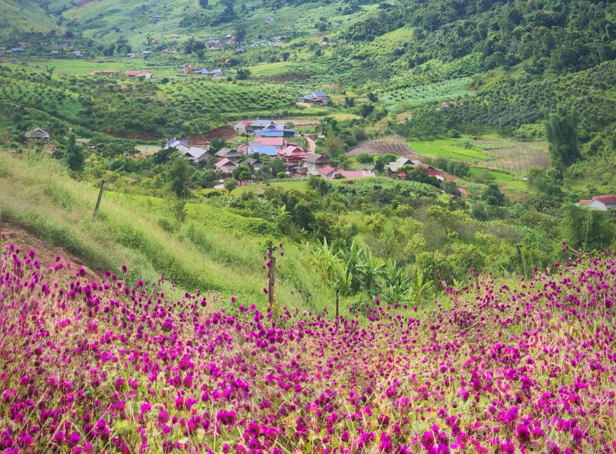 Muong Sang Farmstay Моктяу Экстерьер фото